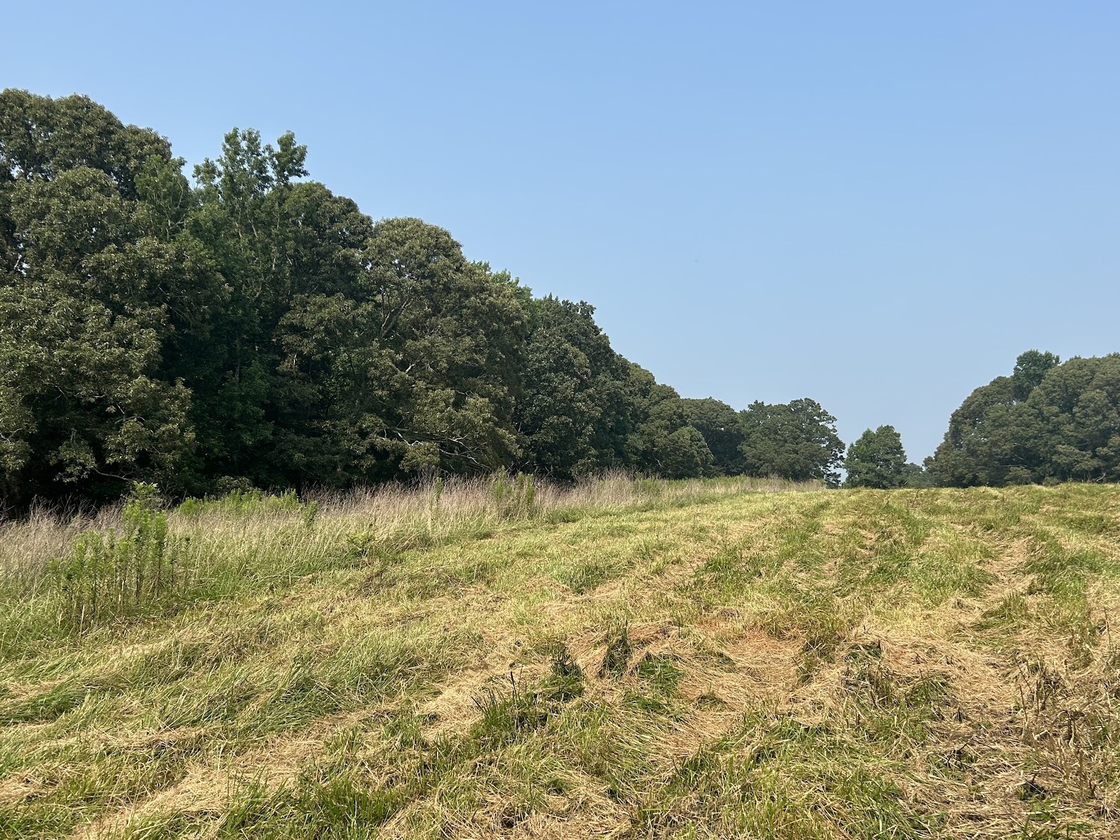 0 Davis Road, Unit TRACT 7 Carrollton, GA 30116 - Photo 1 of 1 a view of an ocean view