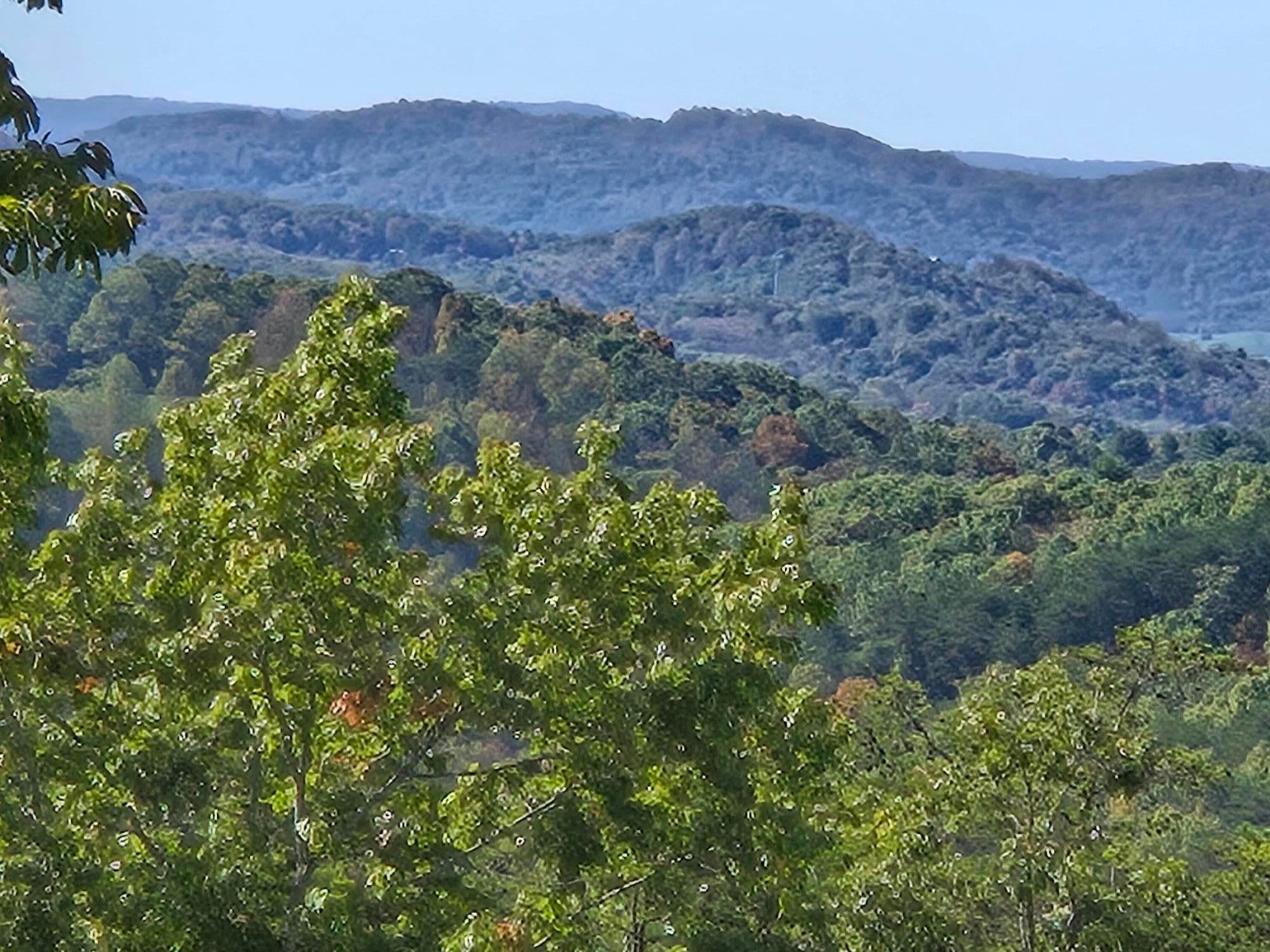 795 War Ridge Road Ballard, WV 24918 - Photo 3 of 13 Gallery Image 3