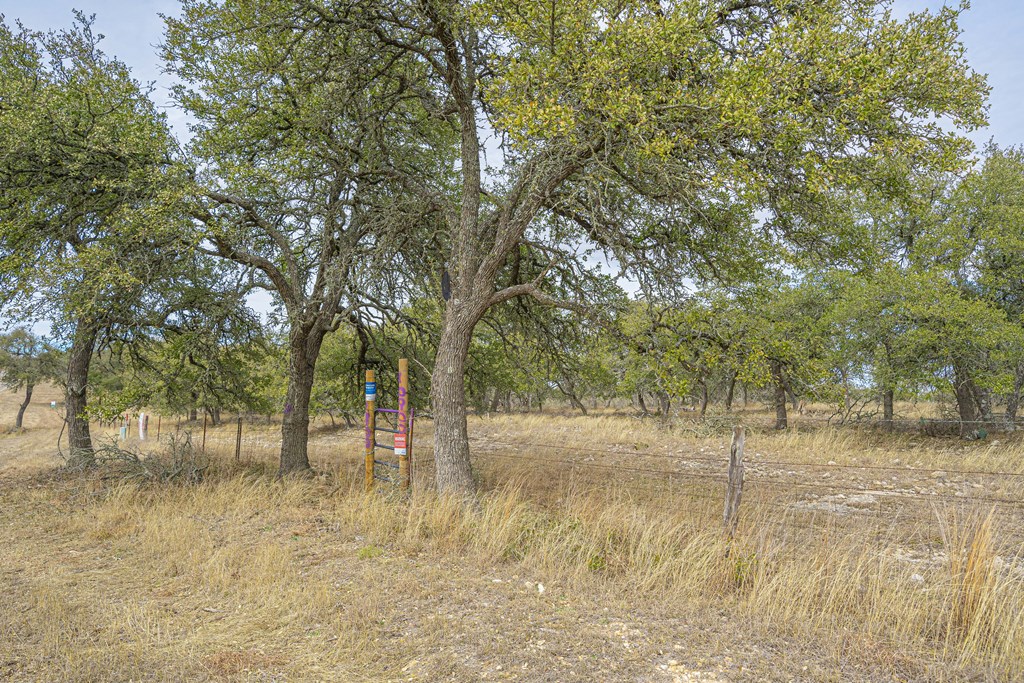 10900 West Ranch Road Blanco, TX 78606 - Photo 7 of 19 Gallery Image 7