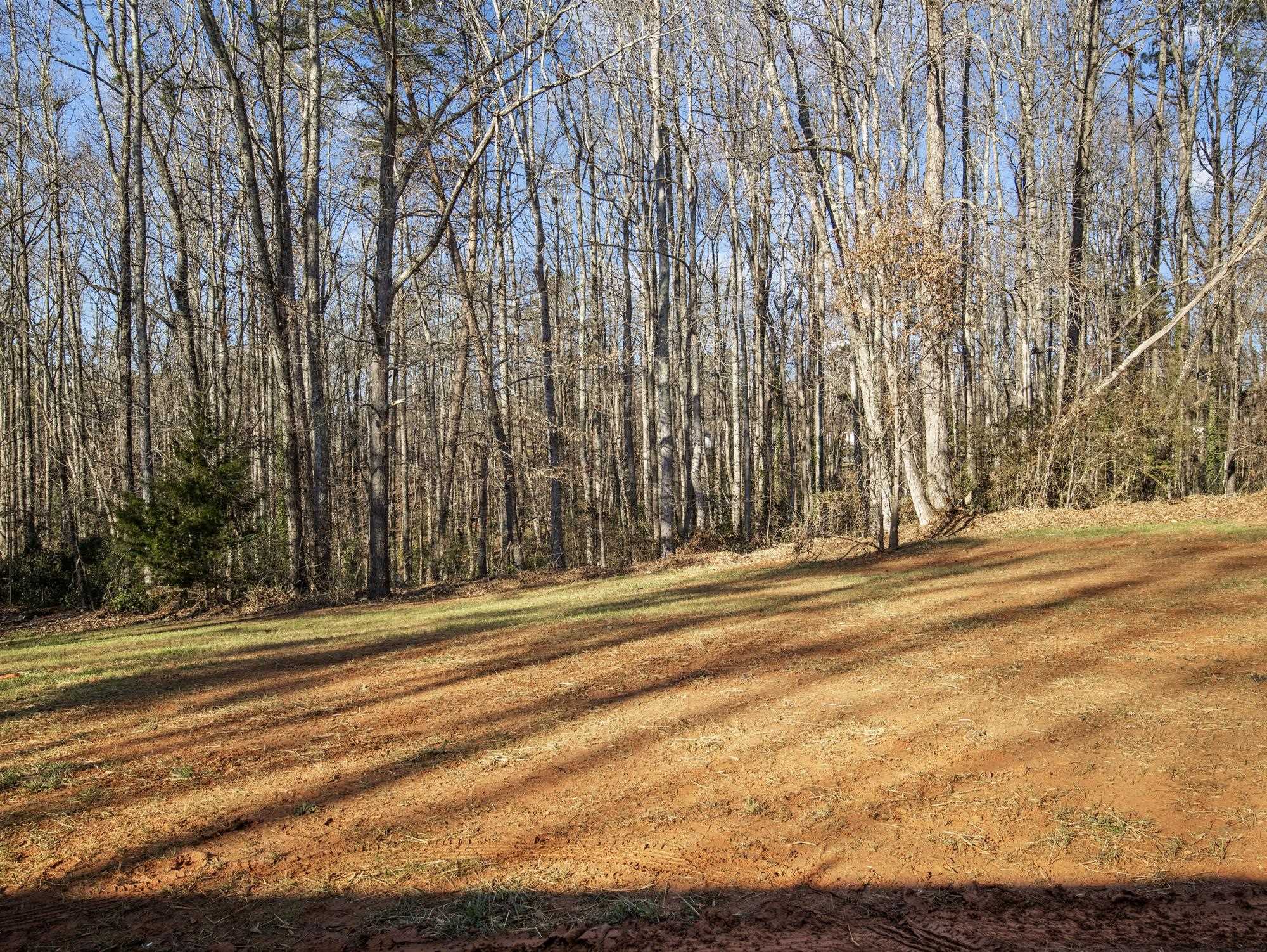 160 Peaceful Valley Road Spartanburg, SC 29307 - Photo 6 of 22 Gallery Image 6