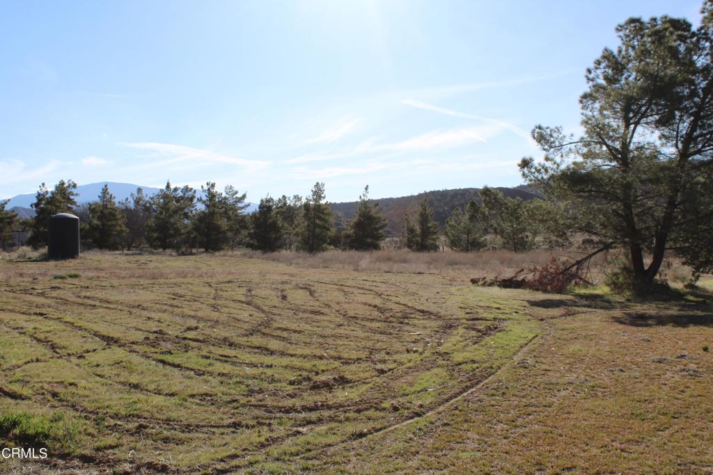 4190 Quatal Canyon Road Maricopa, CA 93252 - Photo 11 of 41 a view of a dry yard with trees in the background