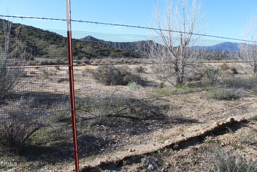 4190 Quatal Canyon Road Maricopa, CA 93252 - Photo 25 of 41 a view of a yard