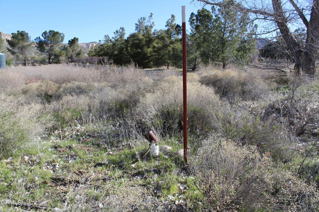 4190 Quatal Canyon Road Maricopa, CA 93252 - Photo 26 of 41 a view of a forest