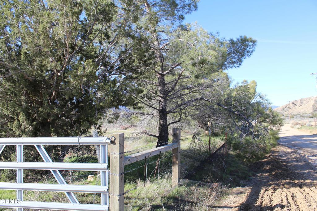 4190 Quatal Canyon Road Maricopa, CA 93252 - Photo 3 of 41 a view of building with large trees