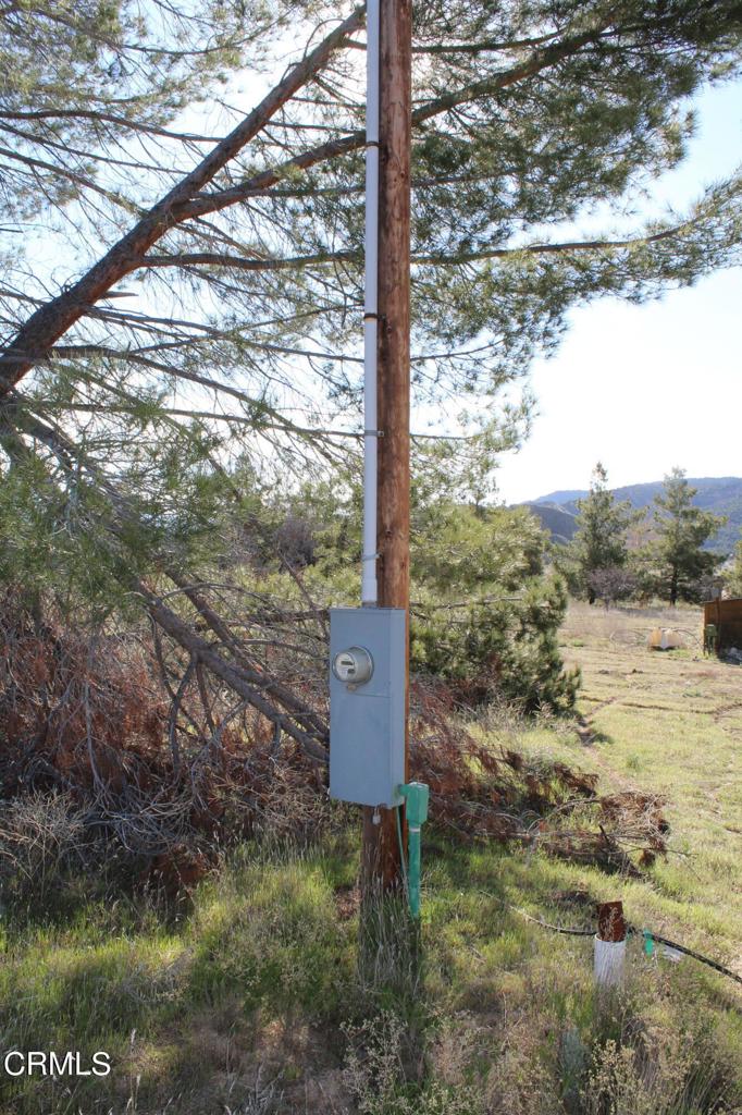 4190 Quatal Canyon Road Maricopa, CA 93252 - Photo 35 of 41 a view of a yard with a tree