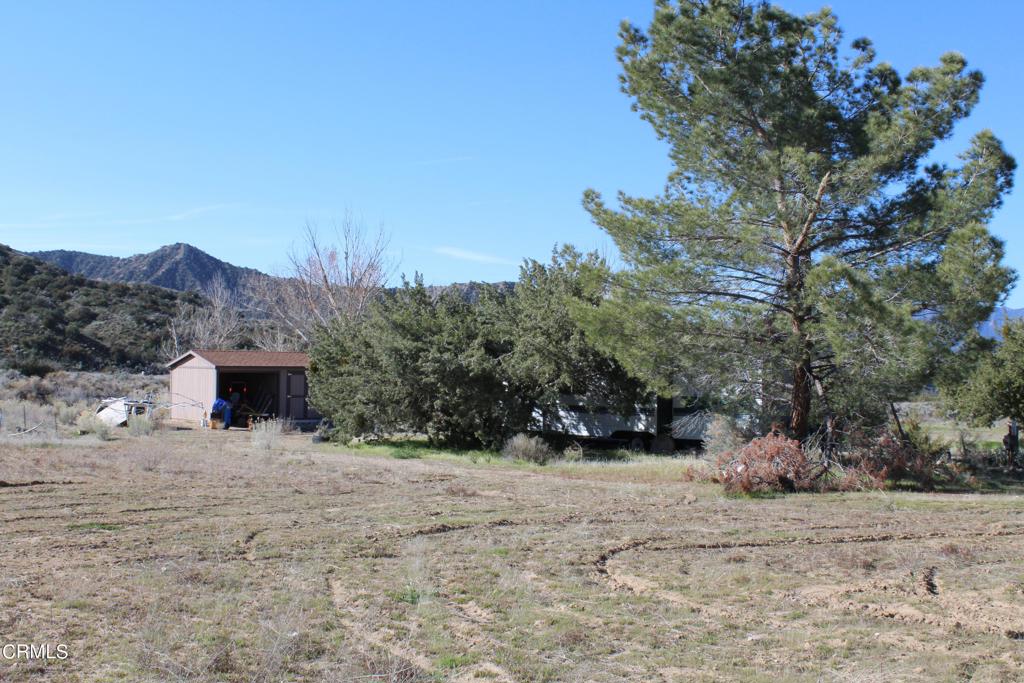 4190 Quatal Canyon Road Maricopa, CA 93252 - Photo 37 of 41 a view of a dry yard with a tree