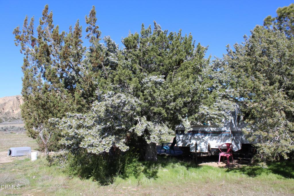 4190 Quatal Canyon Road Maricopa, CA 93252 - Photo 38 of 41 a backyard of a house with lots of green space