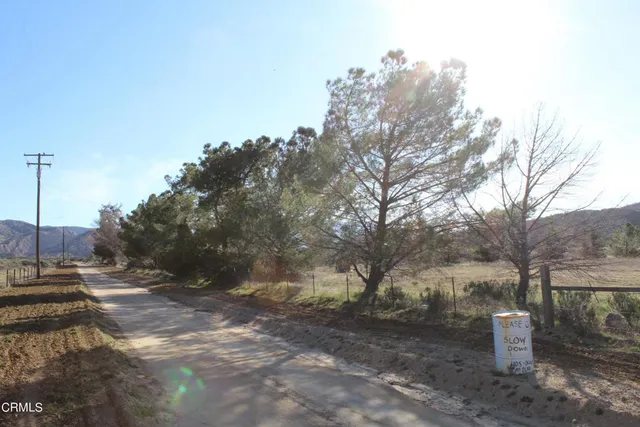 a view of a yard with a tree
