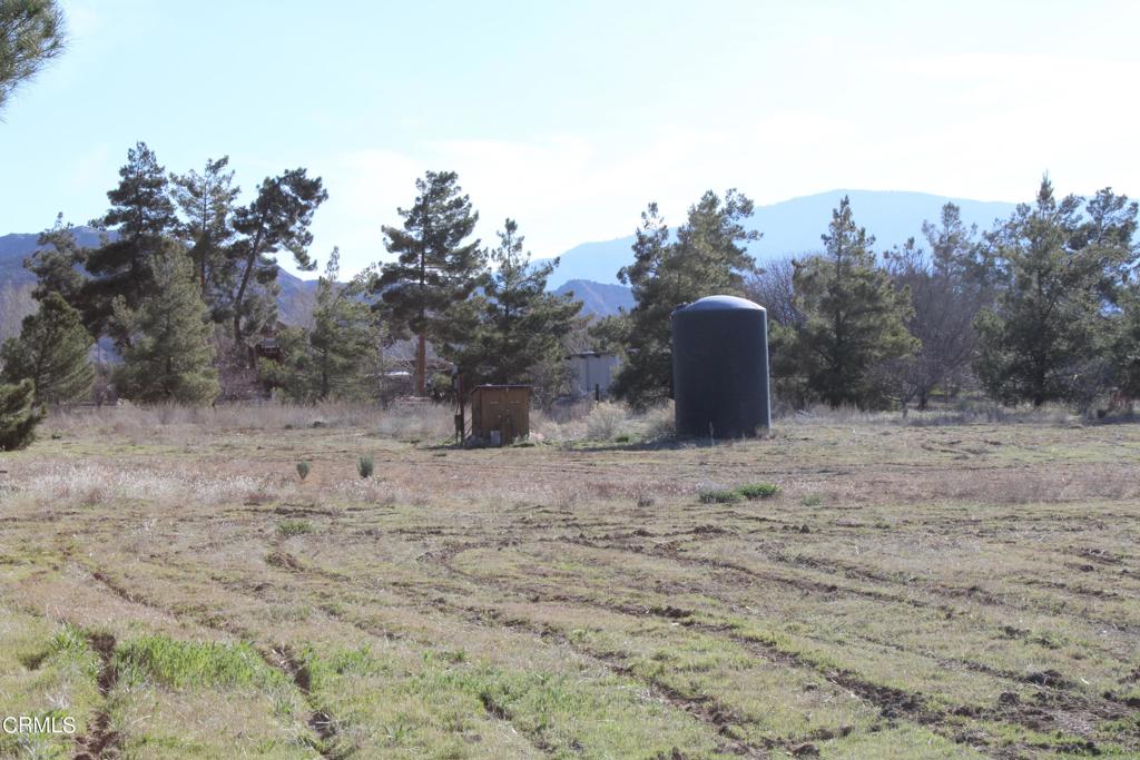 4190 Quatal Canyon Road Maricopa, CA 93252 - Photo 10 of 41 a view of a dry yard with trees