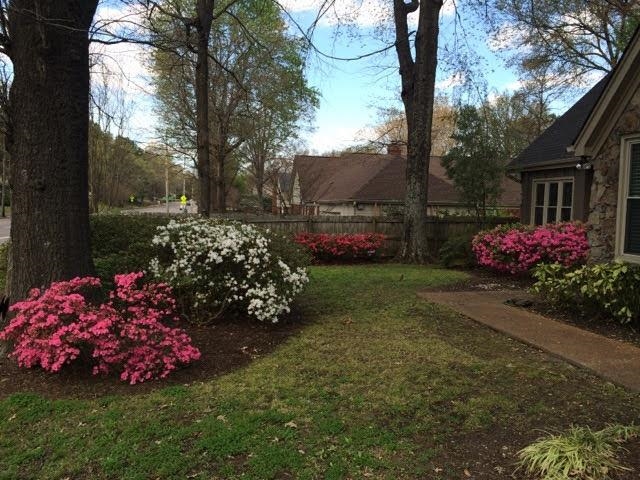 500 South Yates Road Memphis, TN 38120 - Photo 29 of 30 View of yard