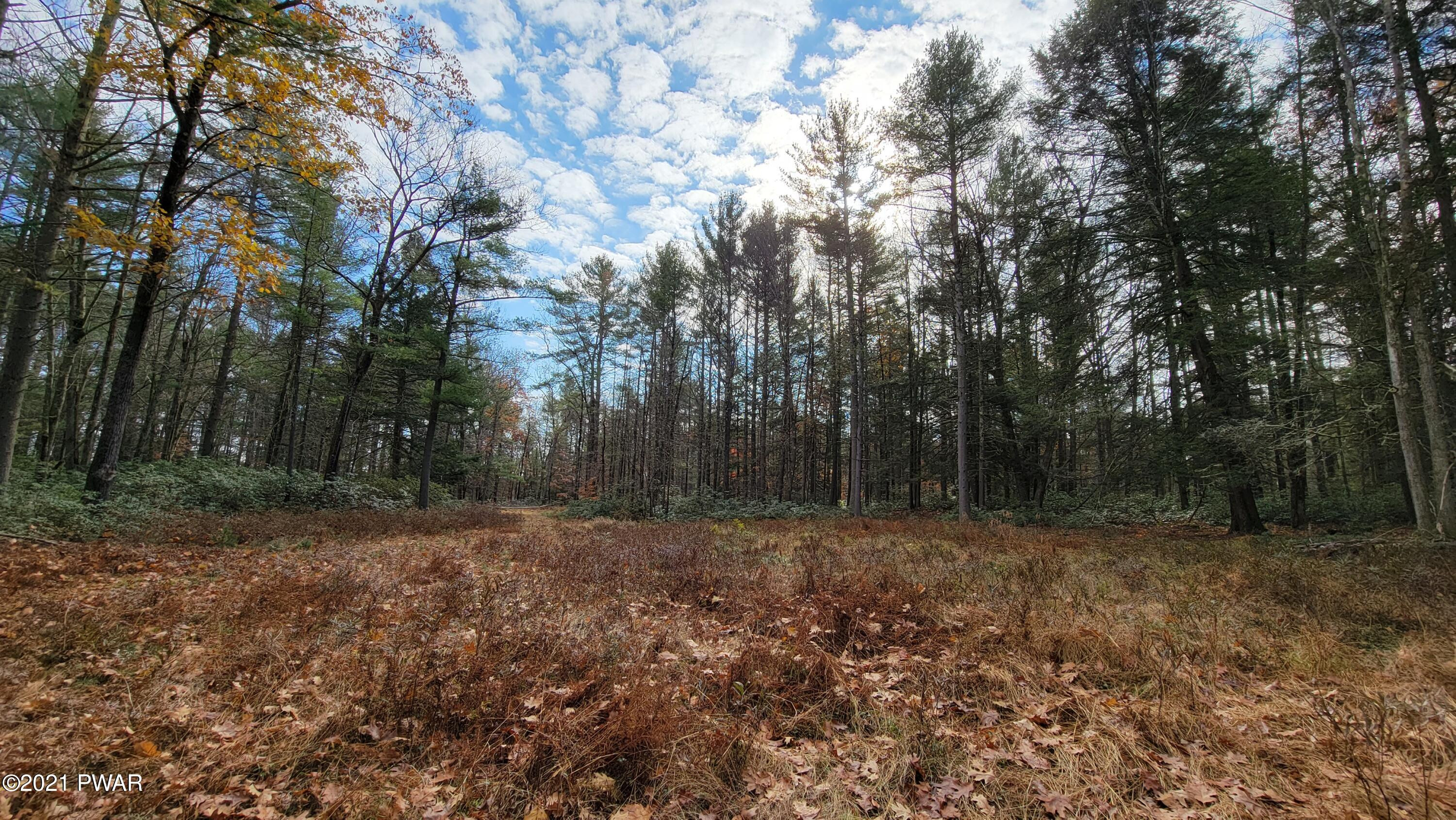 Lot 61 Perry Pond Road Narrowsburg, NY 12764 - Photo 12 of 19