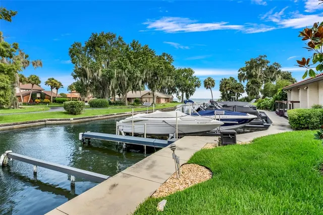 a view of a garden with lawn chairs