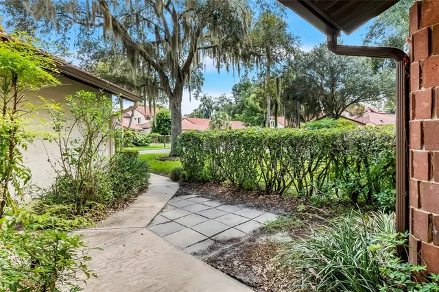 a view of a garden with plants