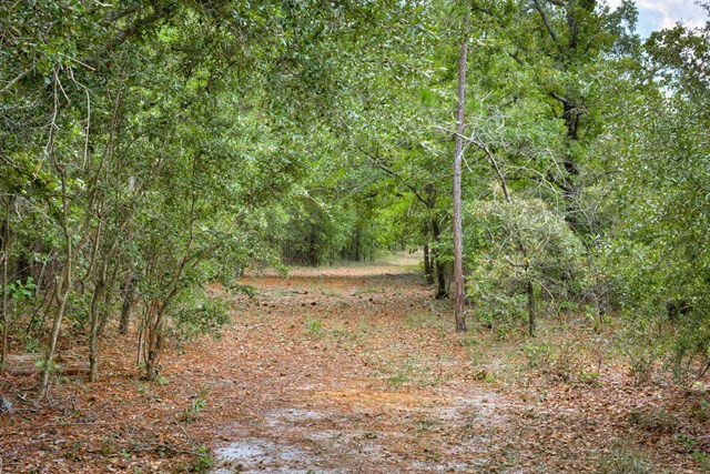 2150 Joyner Pond Road Aiken, SC 29803 - Photo 35 of 46 Gallery Image 35