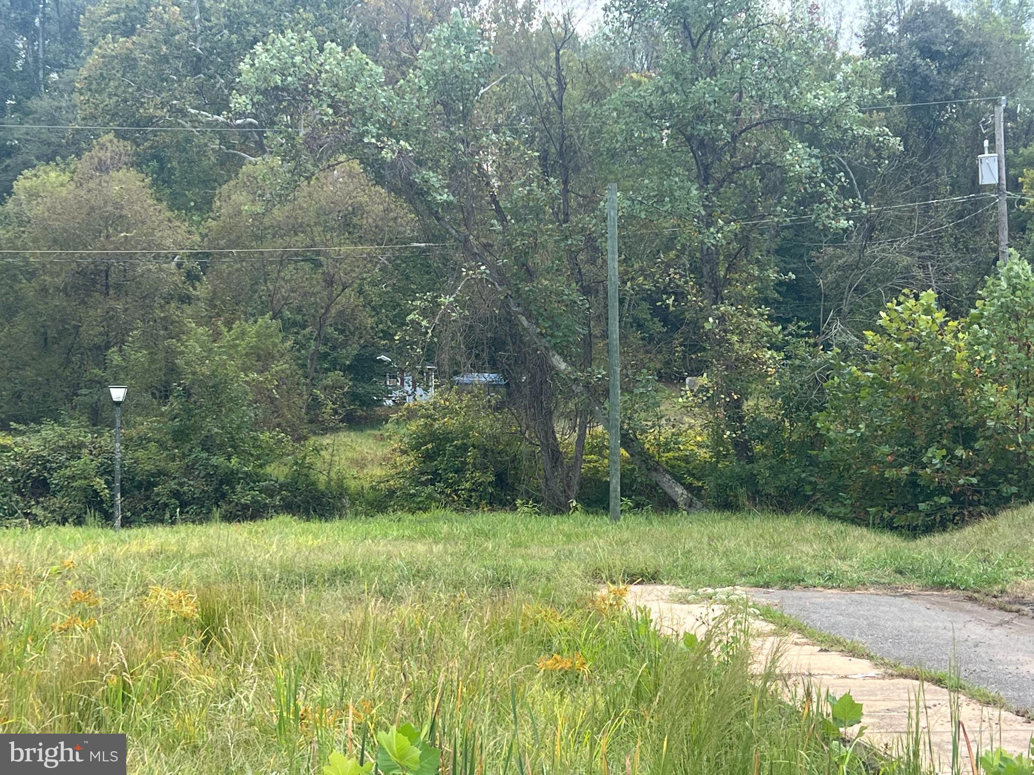 752 Widewater Road Stafford, VA 22554 - Photo 15 of 33 a view of a garden