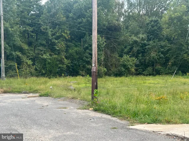 a view of a yard with a house in the background