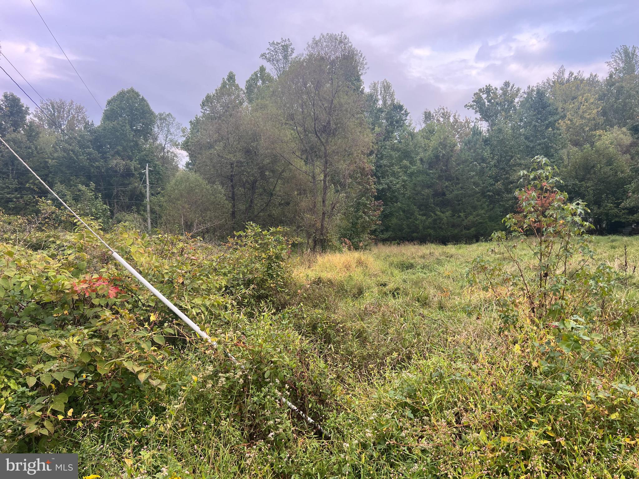 752 Widewater Road Stafford, VA 22554 - Photo 18 of 33 a view of a yard with a house in the background