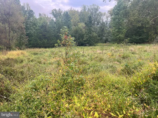 a view of a yard with table and chairs