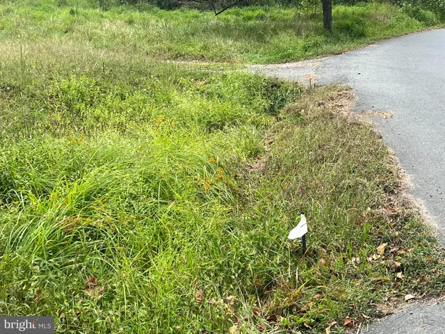 a view of yard with green space