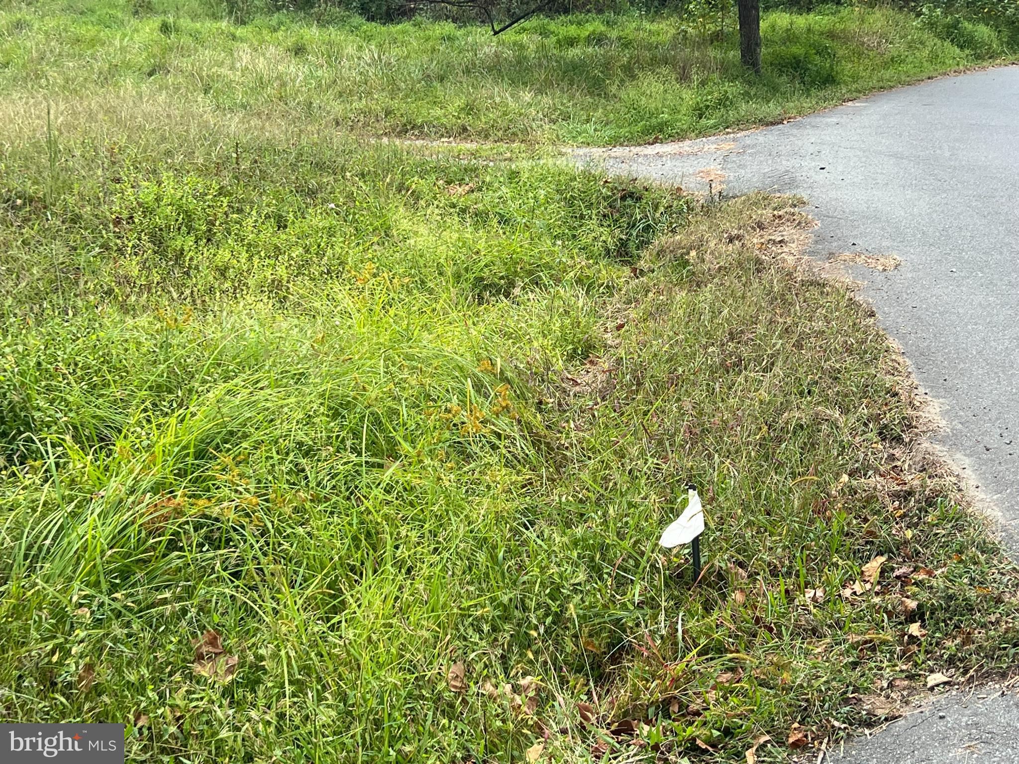 752 Widewater Road Stafford, VA 22554 - Photo 22 of 33 a view of a bird of a house