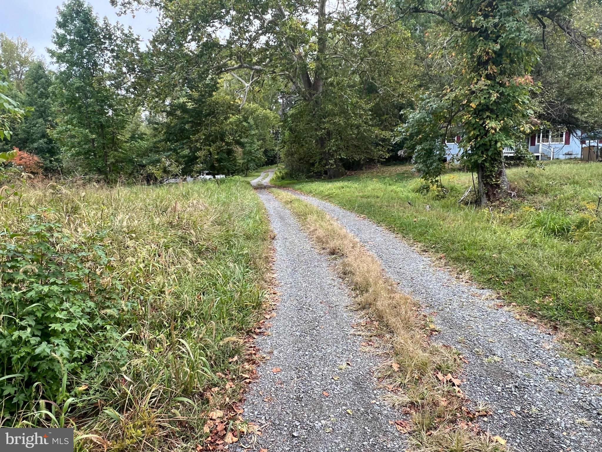 752 Widewater Road Stafford, VA 22554 - Photo 24 of 33 a view of a yard with plants and large trees