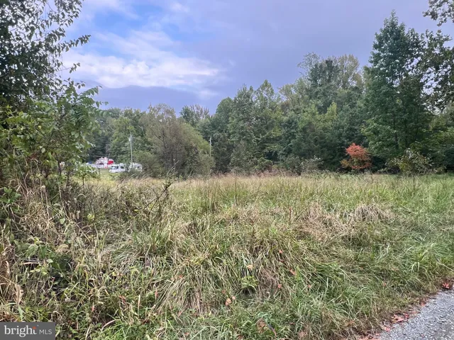 a view of outdoor space and yard