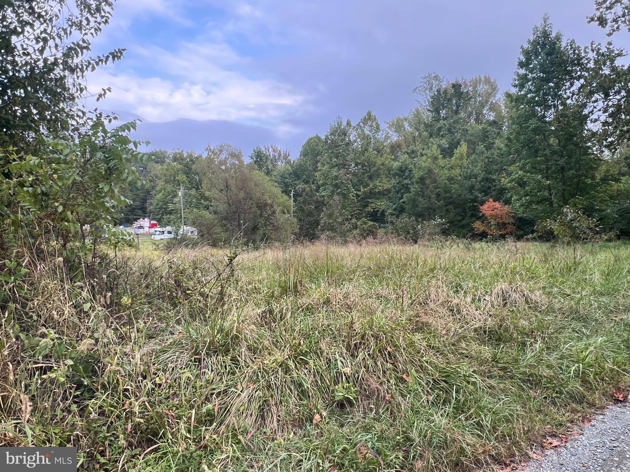 752 Widewater Road Stafford, VA 22554 - Photo 25 of 33 a view of a green field with lots of bushes