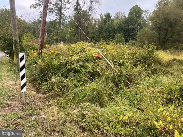 a view of car parked on road with trees