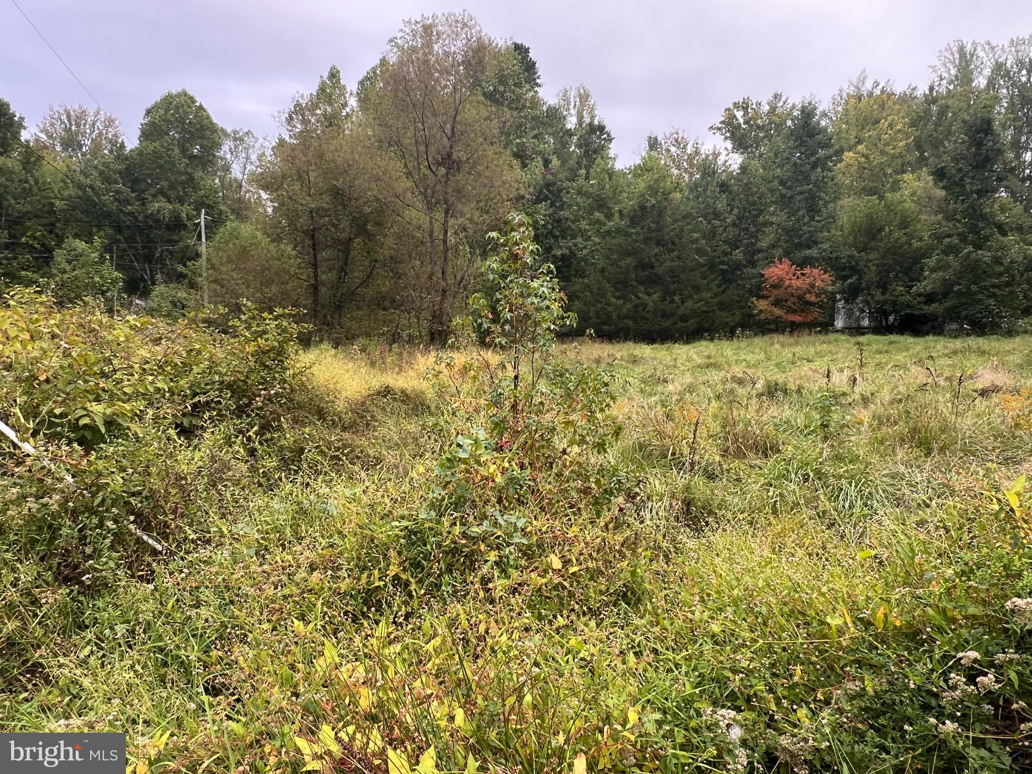 752 Widewater Road Stafford, VA 22554 - Photo 29 of 33 a view of a yard