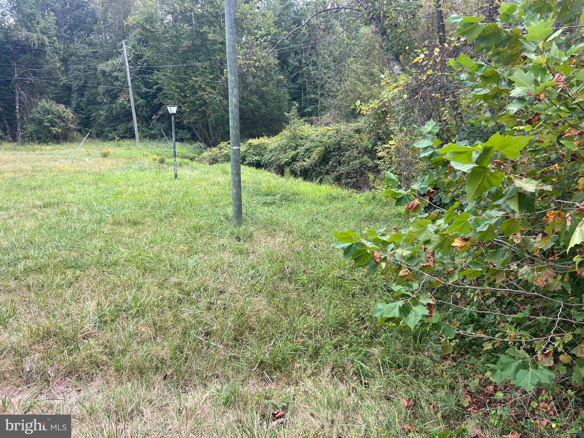 752 Widewater Road Stafford, VA 22554 - Photo 30 of 33 a view of backyard with green space