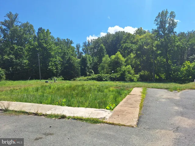 a view of outdoor space yard and entertaining space