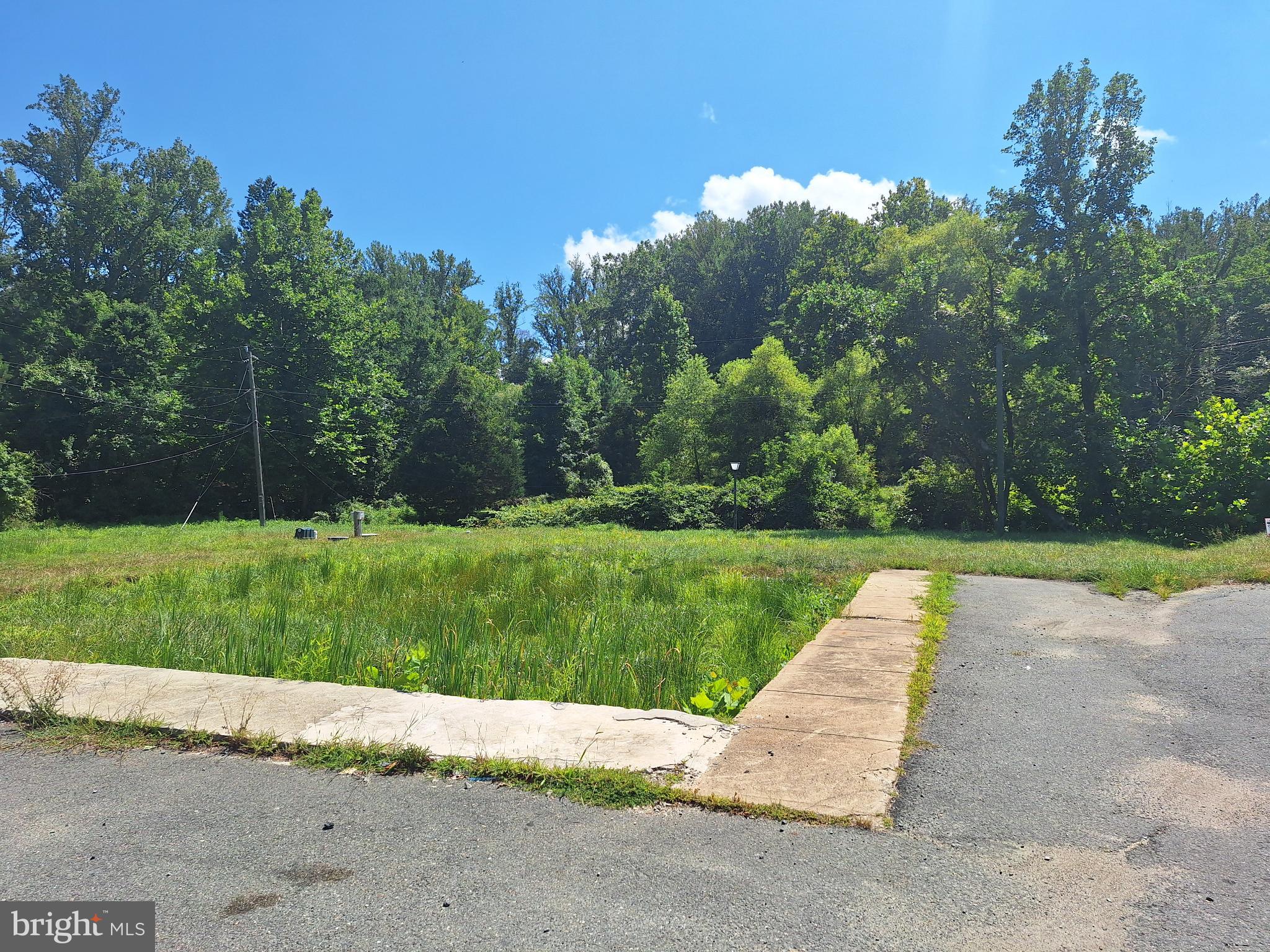 752 Widewater Road Stafford, VA 22554 - Photo 4 of 33 a view of outdoor space yard and entertaining space