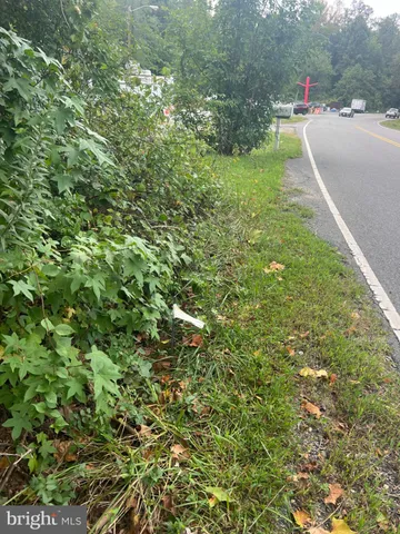 a view of a green field with lots of bushes