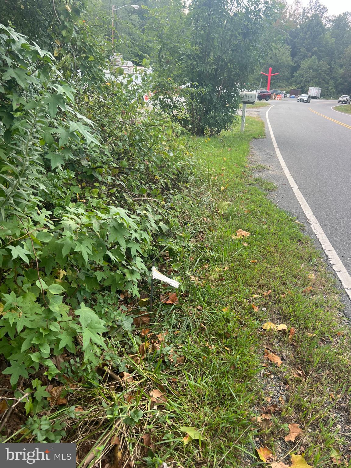 752 Widewater Road Stafford, VA 22554 - Photo 9 of 33 a view of a green field with lots of bushes