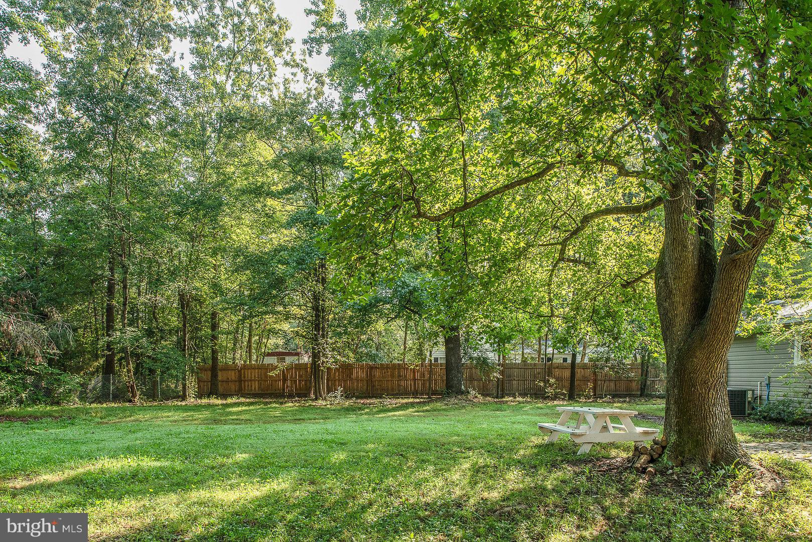 13707 Long Branch Road Woodford, VA 22580 - Photo 5 of 30 Exterior (Rear)