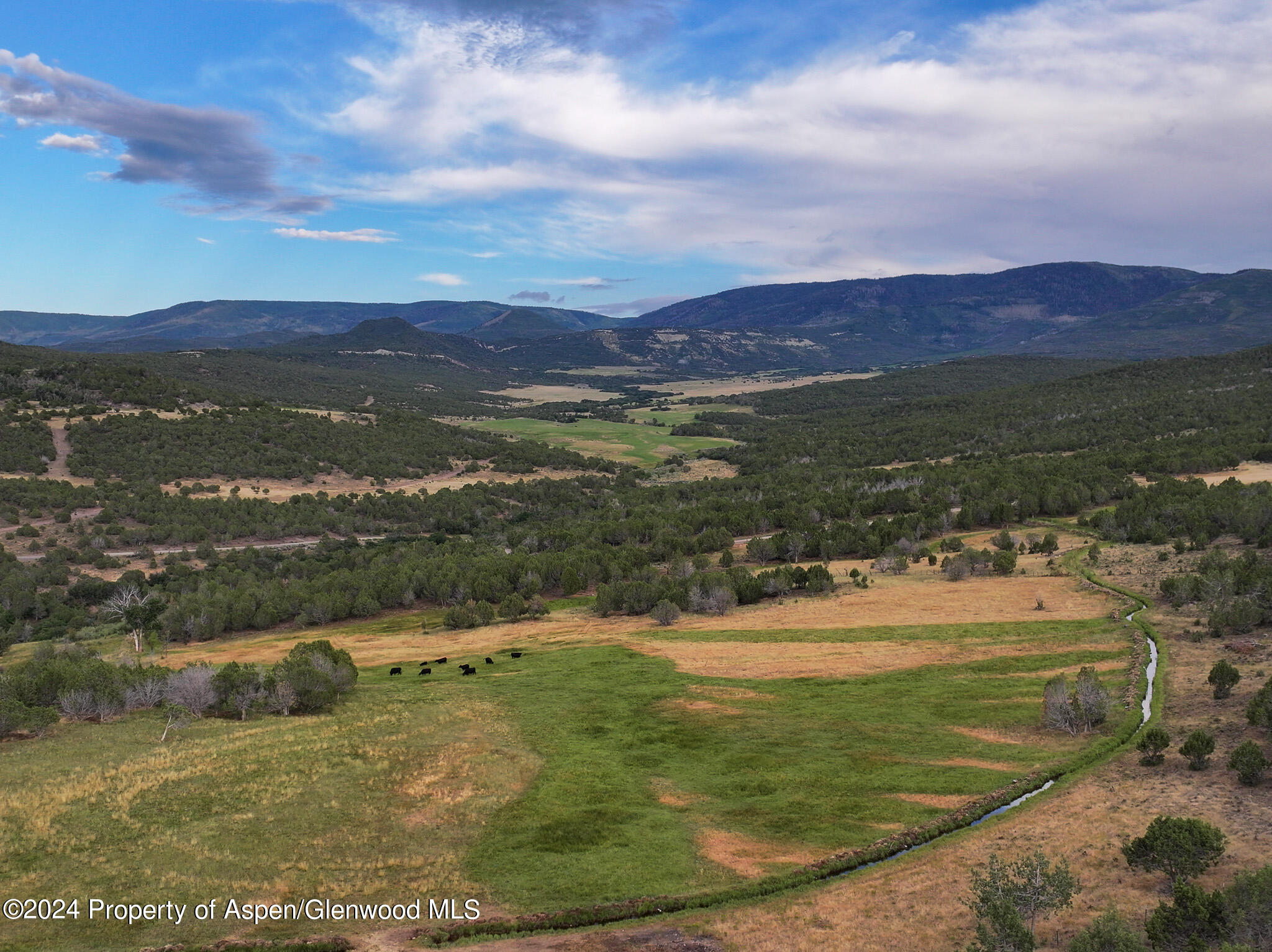56106 Me Road Collbran, CO 81624 - Photo 4 of 34 a view of a lake with a mountain