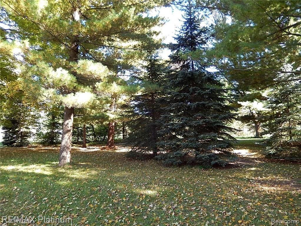 8187 Pingree Road Pinckney, MI 48169 - Photo 80 of 82 80.JPG