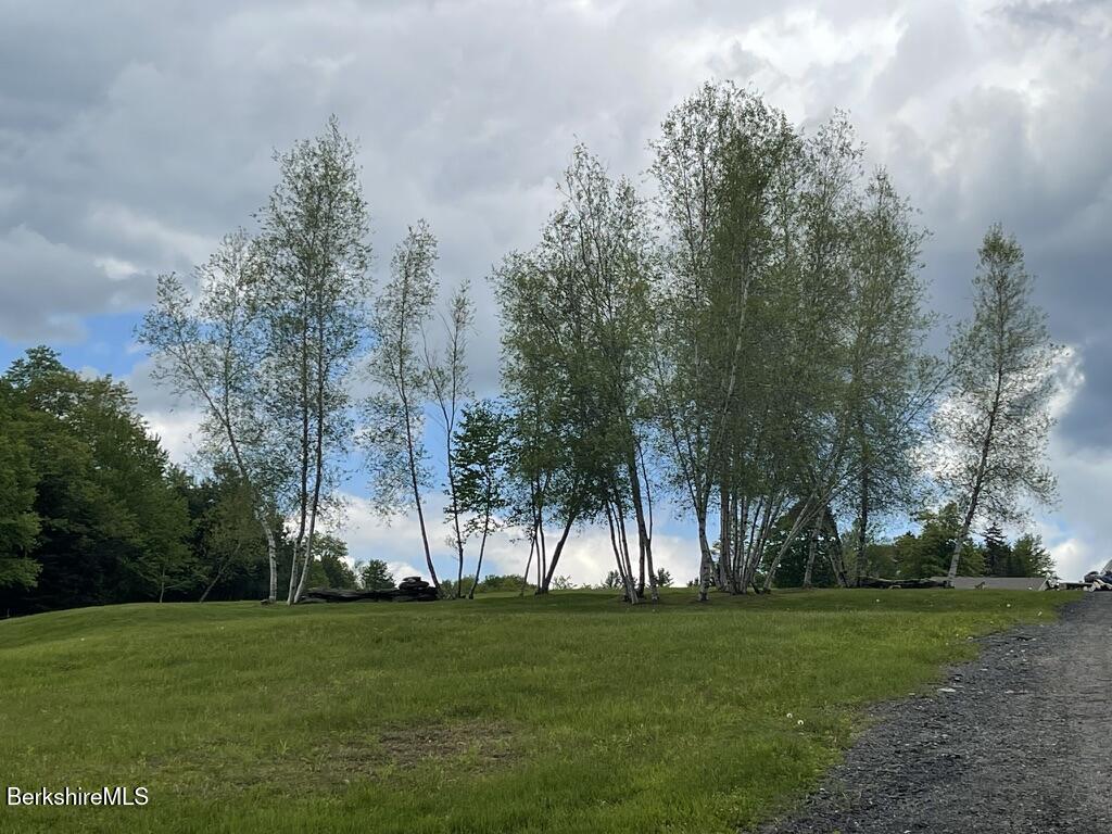 1130 Main Road Savoy, MA 01256 - Photo 16 of 17 a view of three trees and a yard