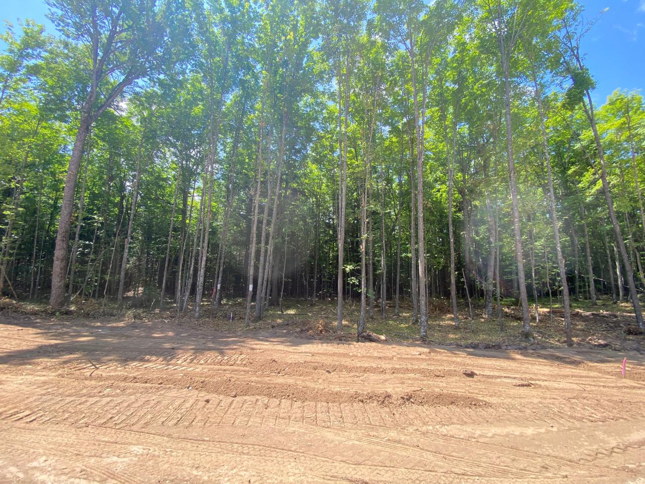Three Javen Road Three Lakes, WI 54562 - Photo 10 of 14 Gallery Image 10