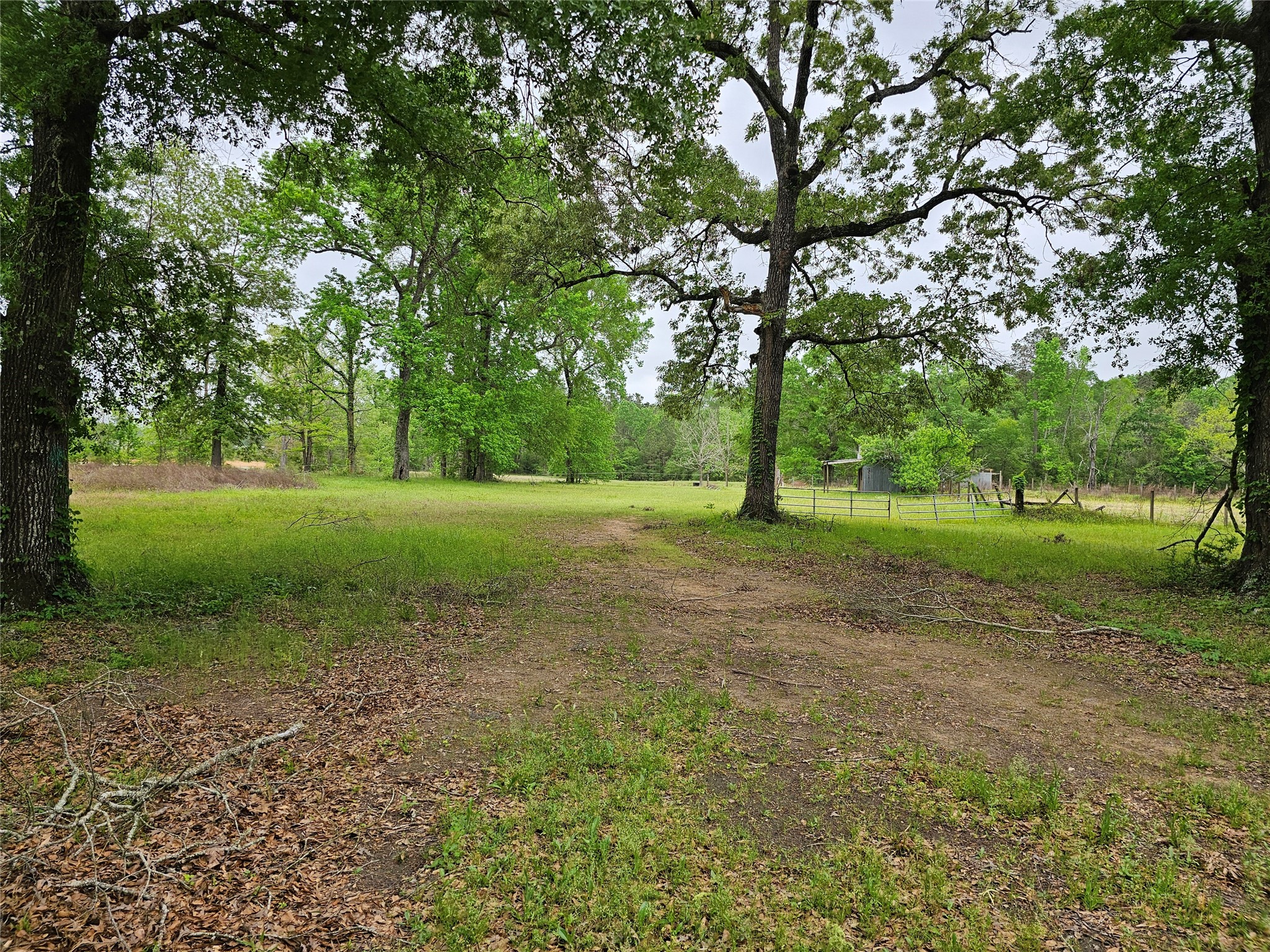 15784 Tree Monkey Road Conroe, TX 77303 - Photo 3 of 40