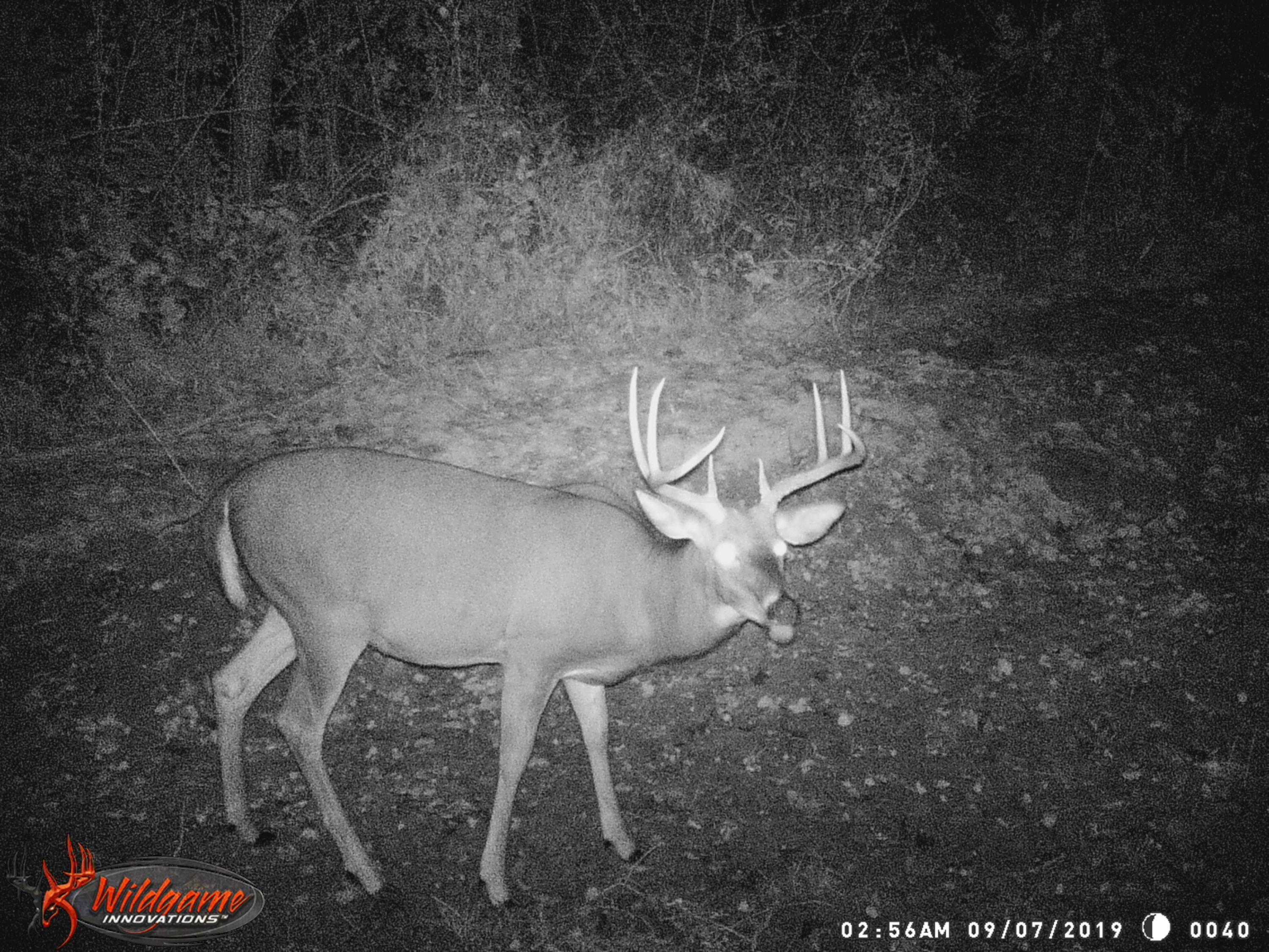 0 Hock-Hocking Road Logan, OH 43138 - Photo 54 of 58 Gallery Image 54