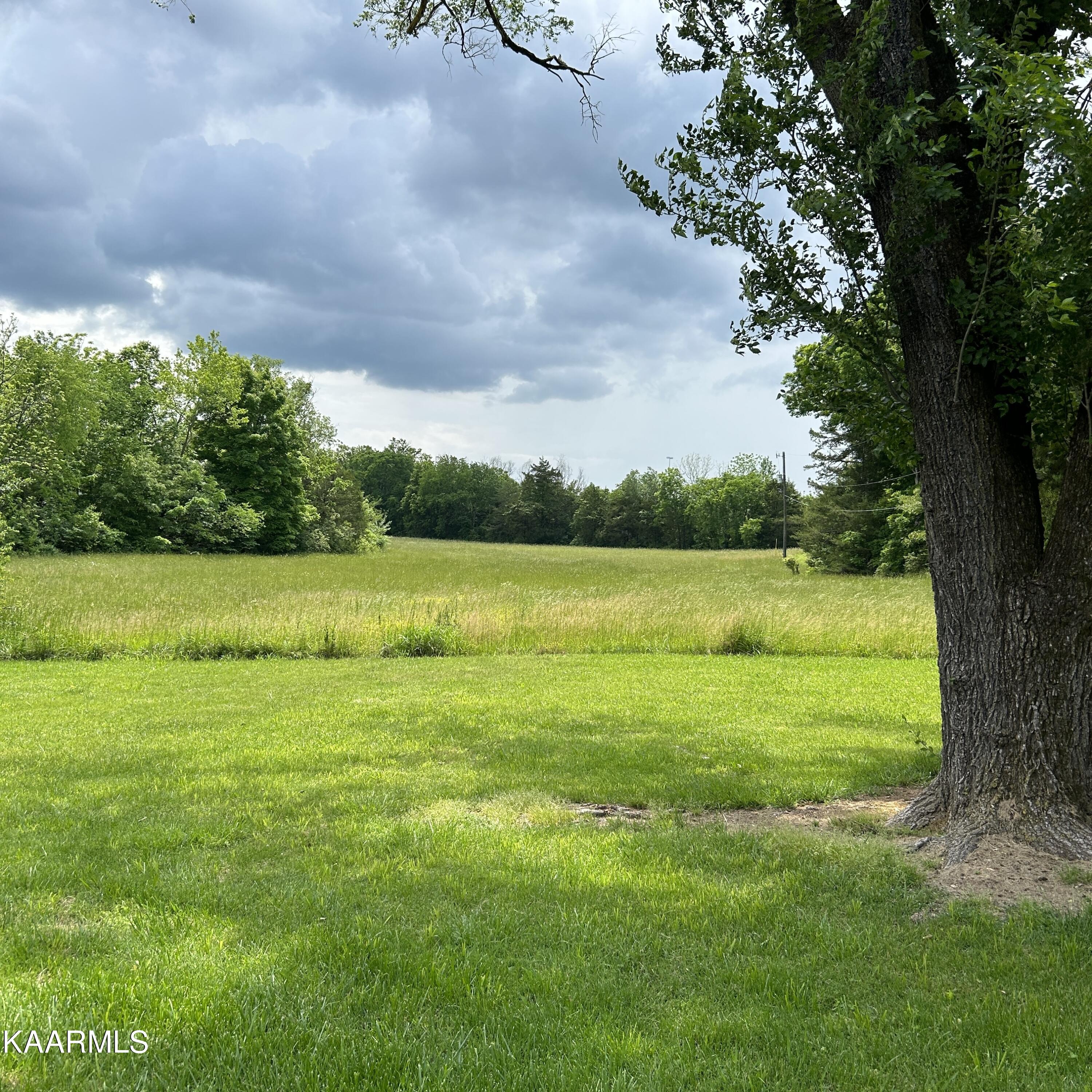 941 Huckleberry Springs Road Knoxville, TN 37914 - Photo 10 of 10 IMG_2661