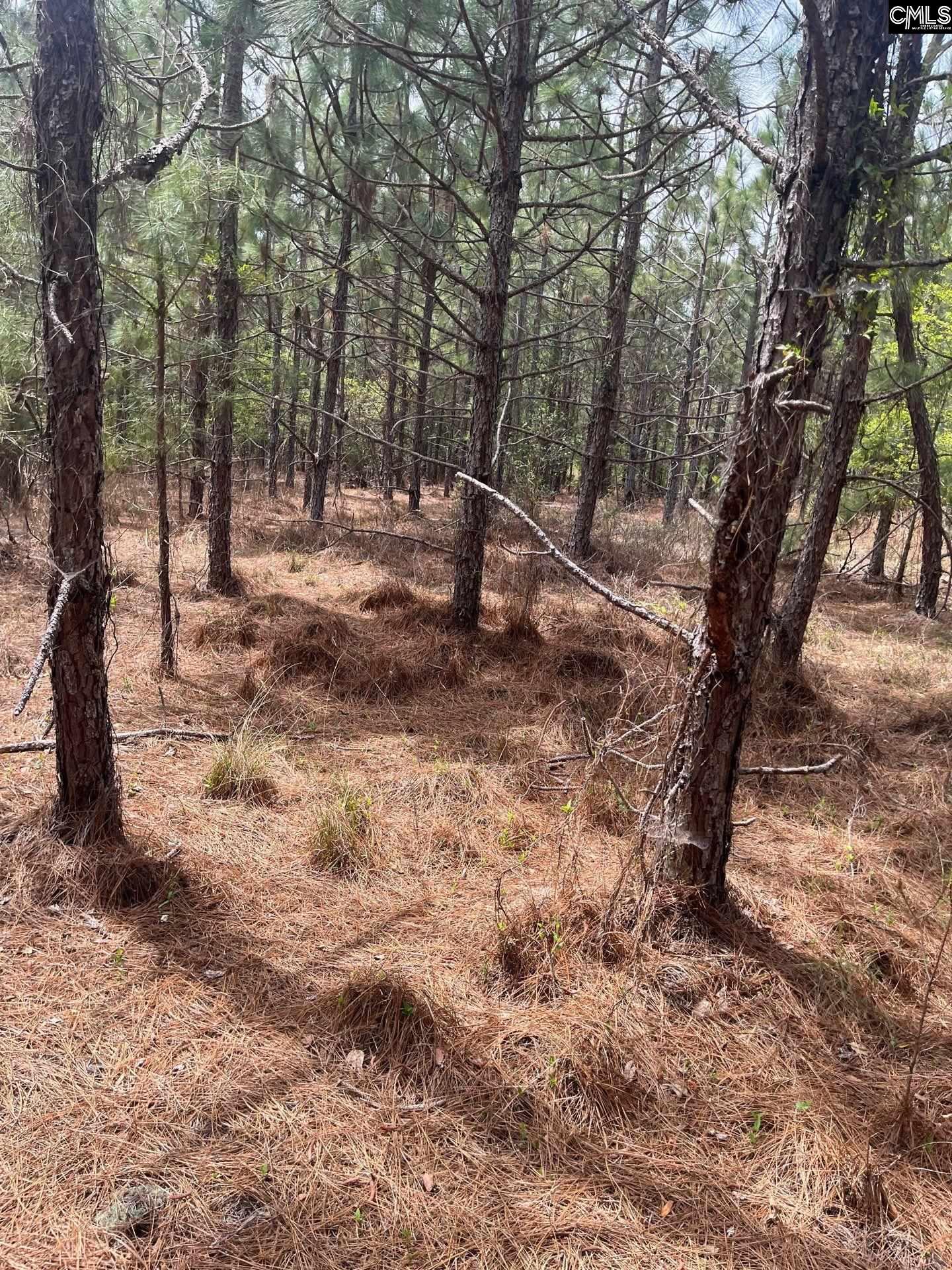 3 Beaver Dam Road Cassatt, SC 29032 - Photo 6 of 11
