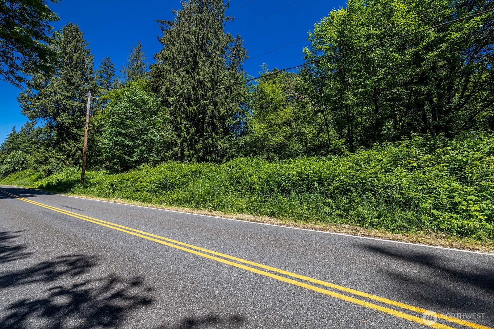 18901 Welch Road Snohomish, WA 98296 - Photo 8 of 25