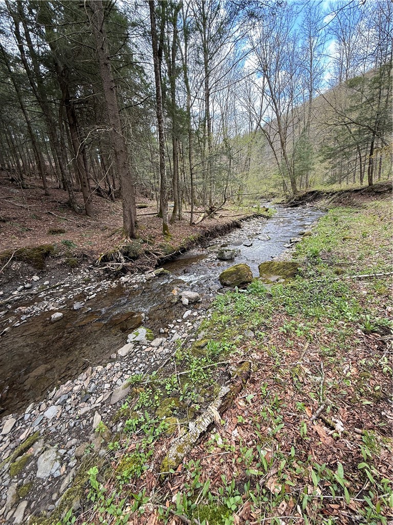 Gulf Road West Winfield, NY 13491 - Photo 9 of 10