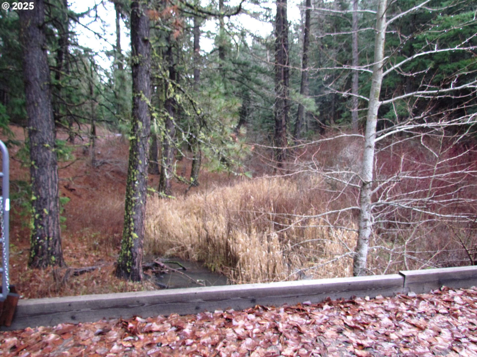 10 Acres Off Acme Road White Salmon, WA 98672 - Photo 3 of 20 a view of a yard