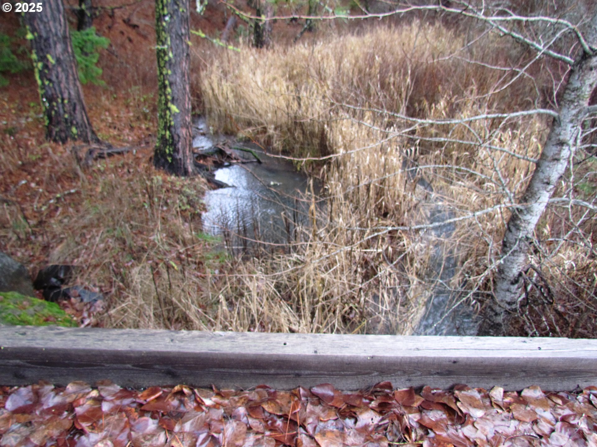 10 Acres Off Acme Road White Salmon, WA 98672 - Photo 4 of 20 a view of a wooden door