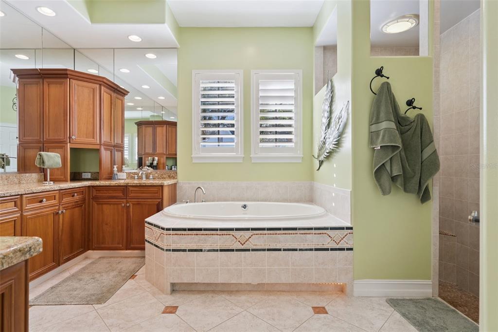 799 Oak Shadows Road Celebration, FL 34747 - Photo 24 of 97 a bathroom with a tub a sink and a window