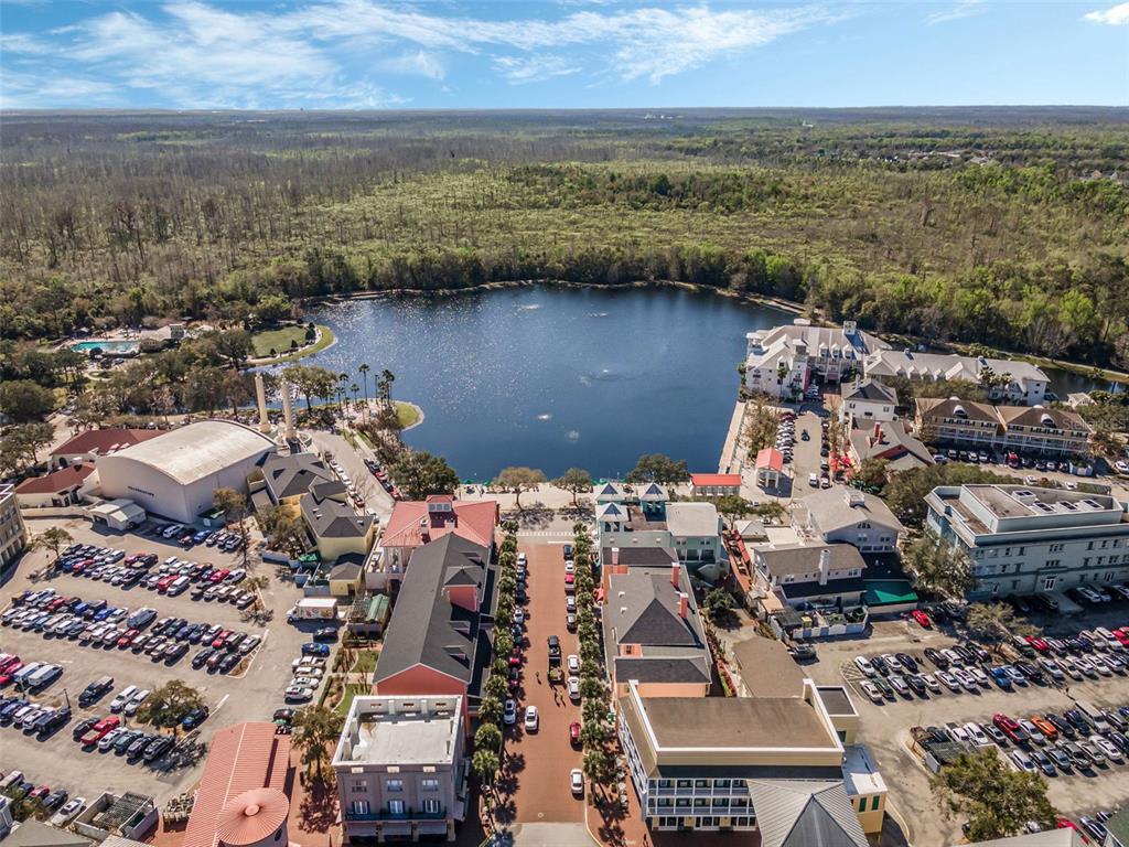 799 Oak Shadows Road Celebration, FL 34747 - Photo 77 of 97