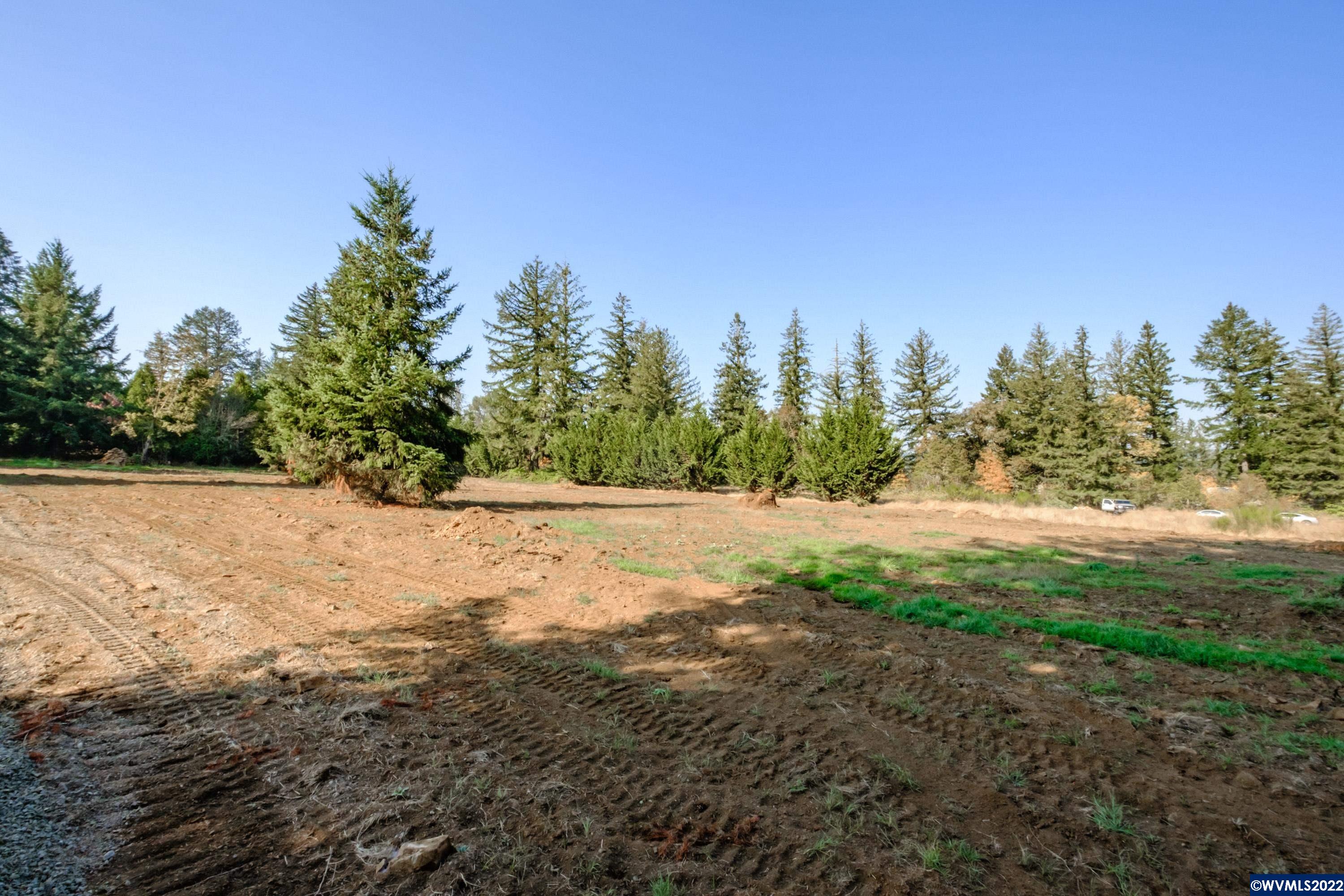 25668 Rice (parcel Road Sweet Home, OR 97386 - Photo 11 of 18
